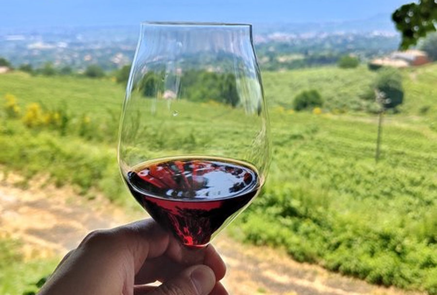 Sicily Wine and Wellness