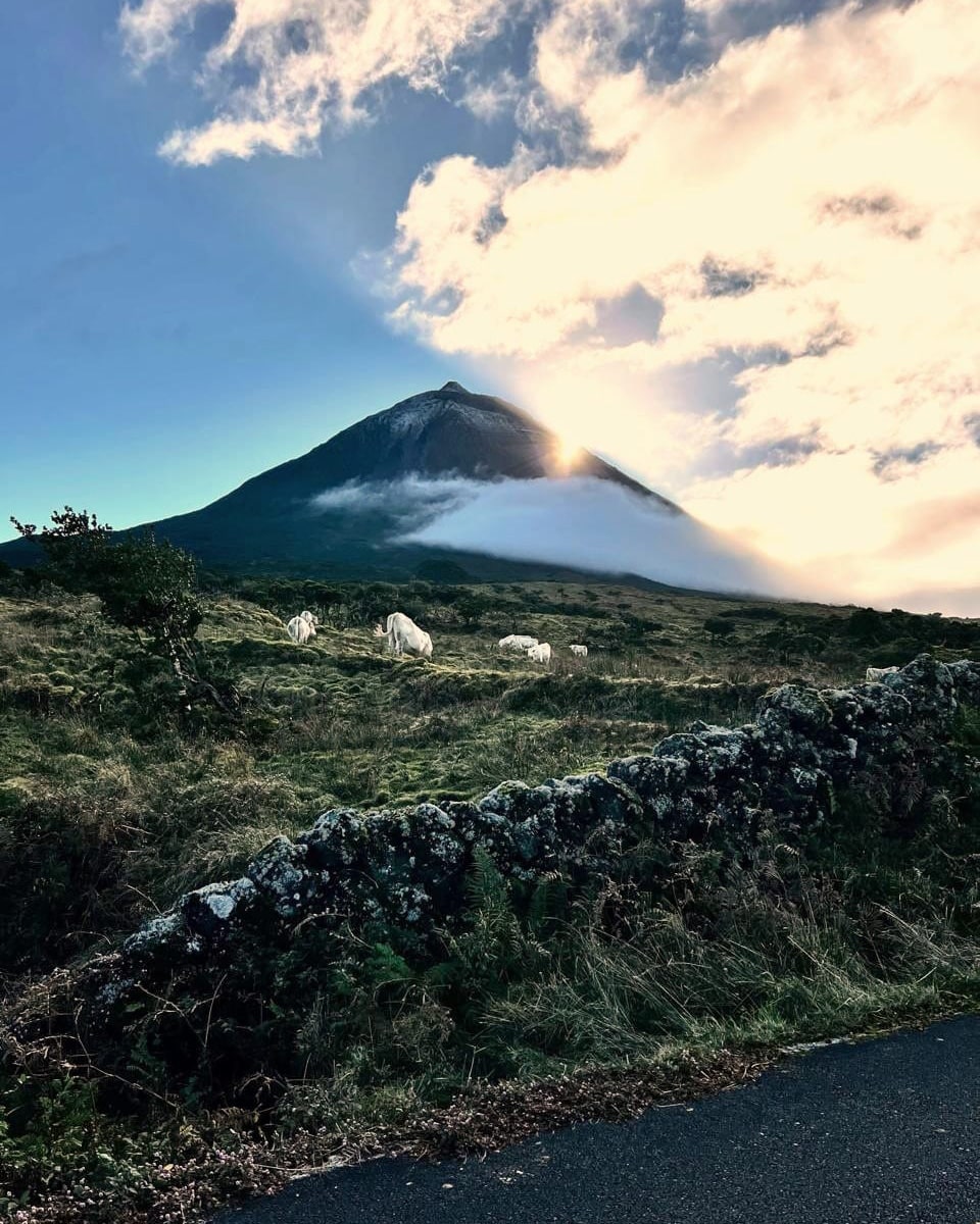 A group exploring the scenic volcanic landscapes of the Azores on a small group tour