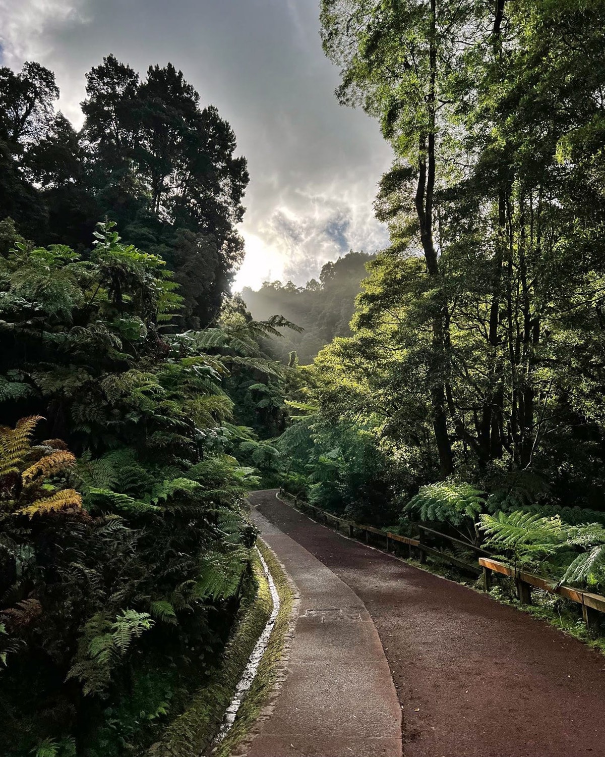 A group exploring the scenic volcanic landscapes of the Azores on a small group tour