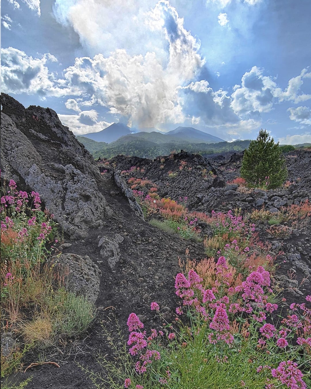 A scenic view of vineyards on Mount Etna with Vulcano and Stromboli islands in the background on the Sicily Wine and Wellness Tour