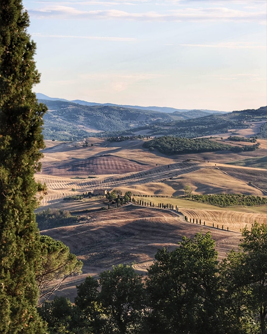 Scenic vineyard in Tuscany with rolling hills and ancient stone villas, showcasing the beauty of Umbria and Tuscany on a small group tour