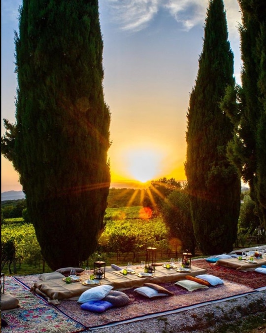 Scenic vineyard in Tuscany with rolling hills and ancient stone villas, showcasing the beauty of Umbria and Tuscany on a small group tour