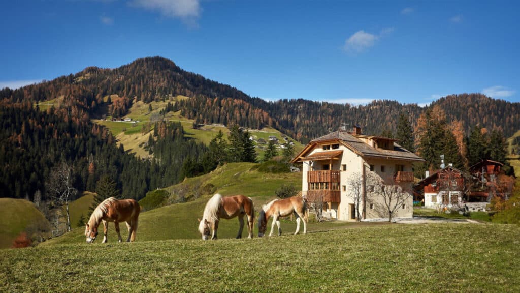 Panoramic View Of The Dolomites Featuring Dramatic Peaks And Lush Valleys During A Small Group Trip In Italy.