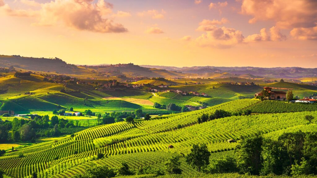 Visit Italy In 2025: The Best Destinations Beyond Rome 6 Rolling Vineyards In The Langhe Region Of Piemonte, Italy, On A Sunny Day