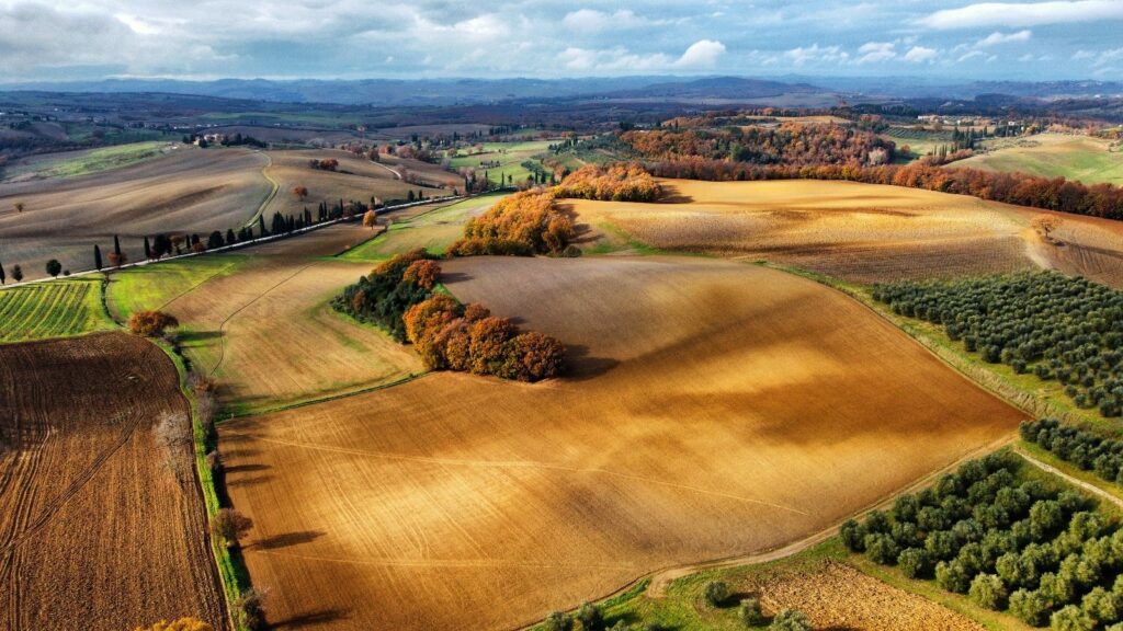 6 Hidden Tuscany Experiences: Slow-Living In The Val D’orcia Countryside 1 Scenic Landscape Of Val D’orcia With Hills, Fields, And Vineyards In Tuscany