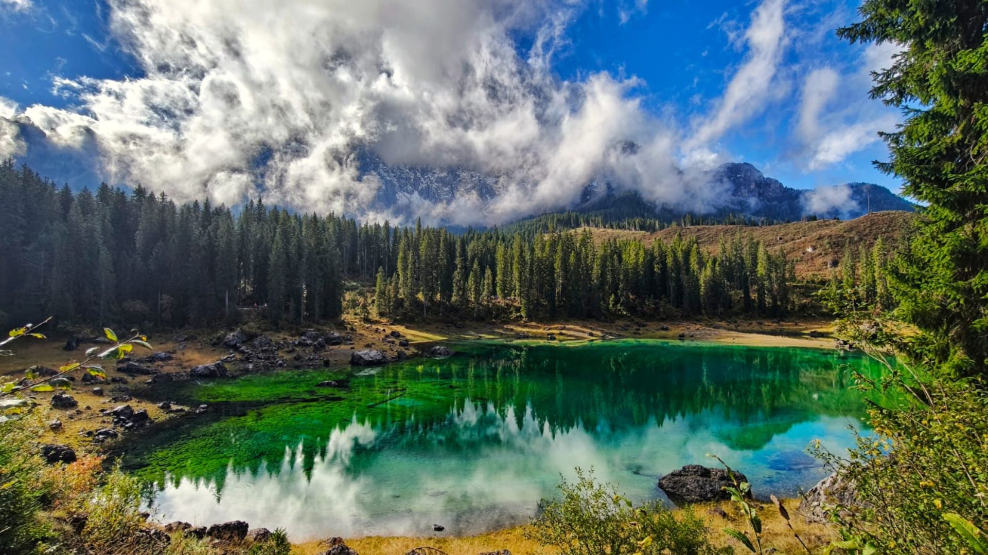 Endless Italy: Region by region, Top Chefs Share the Country's Most  Graceful Ingredients - Luxeat, image size:1920x1080