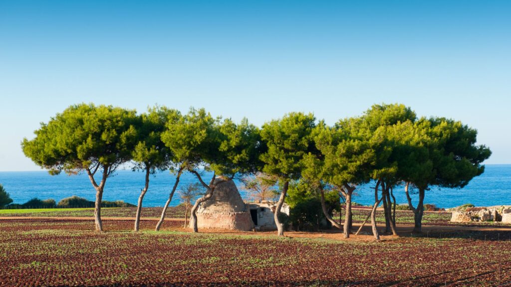 Puglia Countryside Landscape Representing Slow Travel In Southern Italy