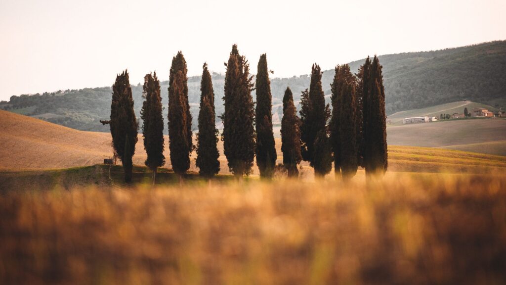 Rolling Hills Of Val D&rsquo;orcia, The Iconic Setting For A Dolce Far Niente Tuscan Retreat