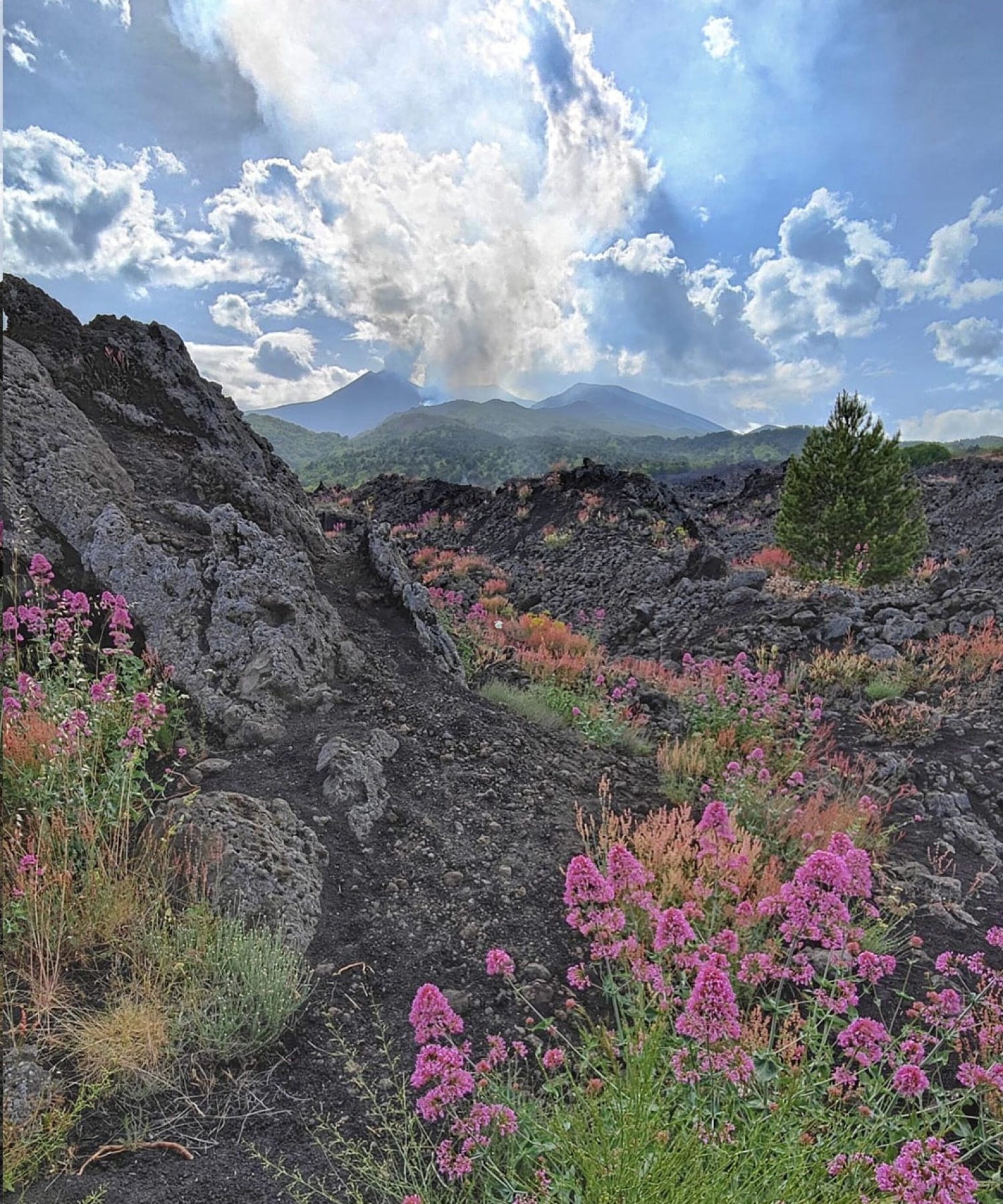 A scenic view of vineyards on Mount Etna with Vulcano and Stromboli islands in the background on the Sicily Wine and Wellness Tour