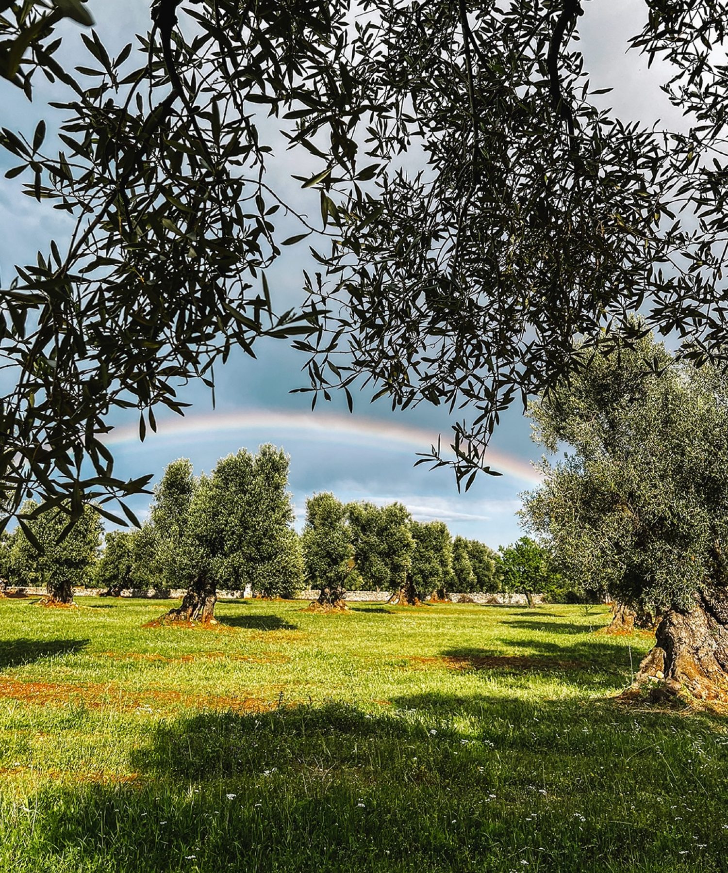 Panoramic view of historic Matera with ancient stone houses and winding streets, part of a small group tour in Puglia