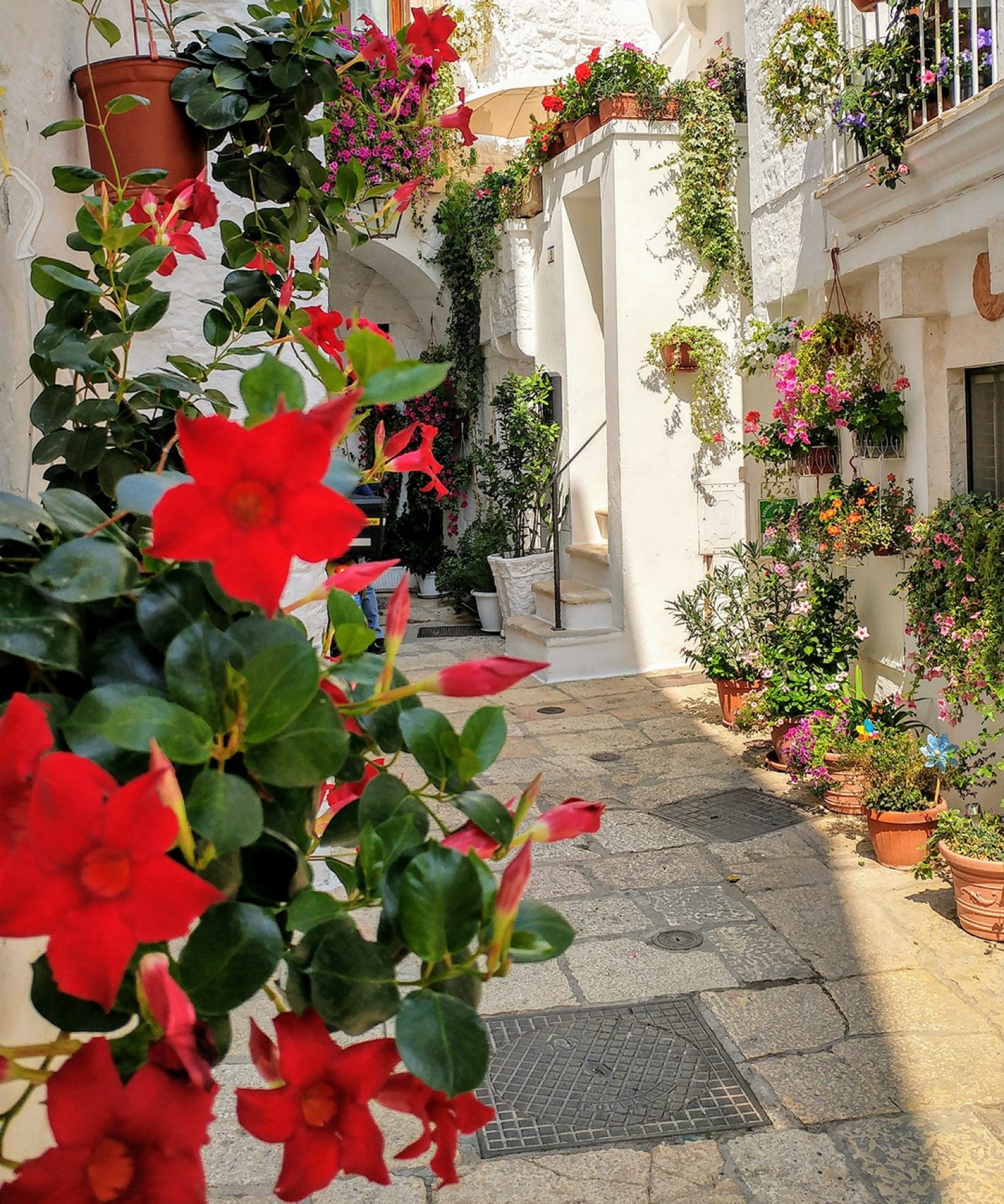 Panoramic view of historic Matera with ancient stone houses and winding streets, part of a small group tour in Puglia